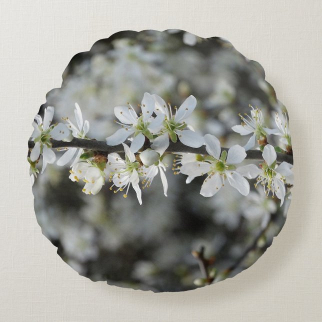 Spring,White Blossoms Photo  cushion (Front)