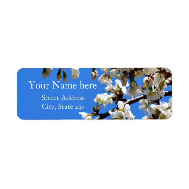 Spring white cherry Blossoms (Front)