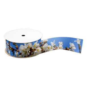 Spring white cherry Blossoms Grosgrain Ribbon