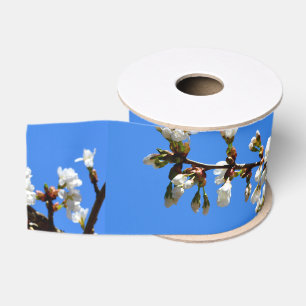 Spring white cherry Blossoms Grosgrain Ribbon