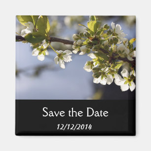 spring white cherry flowering branch magnet