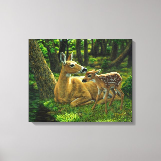 Spring Whitetail Fawn and Mother Deer Canvas Print (Front)