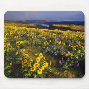 Spring wildflowers in abundance at the Tom Mouse Pad