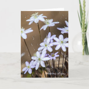 spring wildflowers with raindrops card