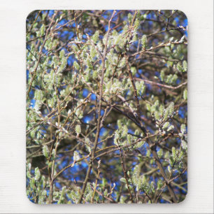 SPRING WILLOW MOUSE PAD