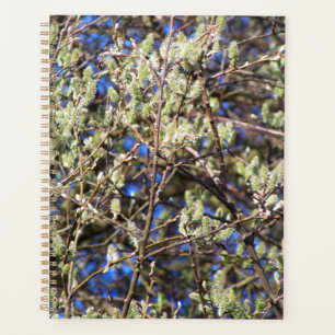SPRING WILLOW PLANNER