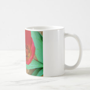 Spring yellow and Red Tulip Coffee Mug