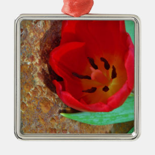 Spring yellow and Red Tulip Metal Ornament