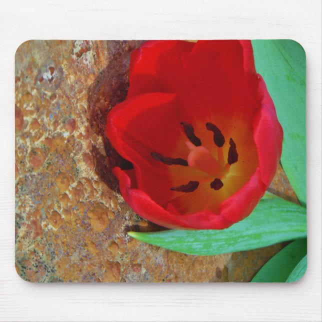 Spring yellow and Red Tulip Mouse Pad (Front)