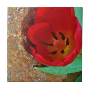 Spring yellow and Red Tulip Tile