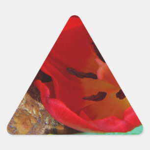 Spring yellow and Red Tulip Triangle Sticker
