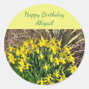 Spring Yellow Daffodils Birthday Classic Round Sticker