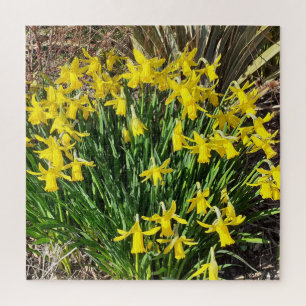 Spring Yellow Daffodils Jigsaw Puzzle