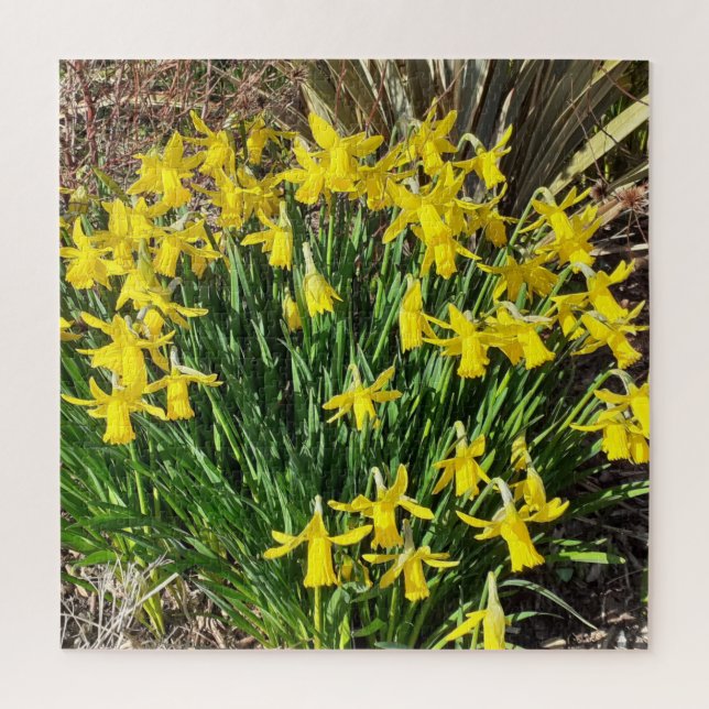 Spring Yellow Daffodils Jigsaw Puzzle (Vertical)
