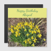Spring Yellow Daffodils Magnetic Birthday Card