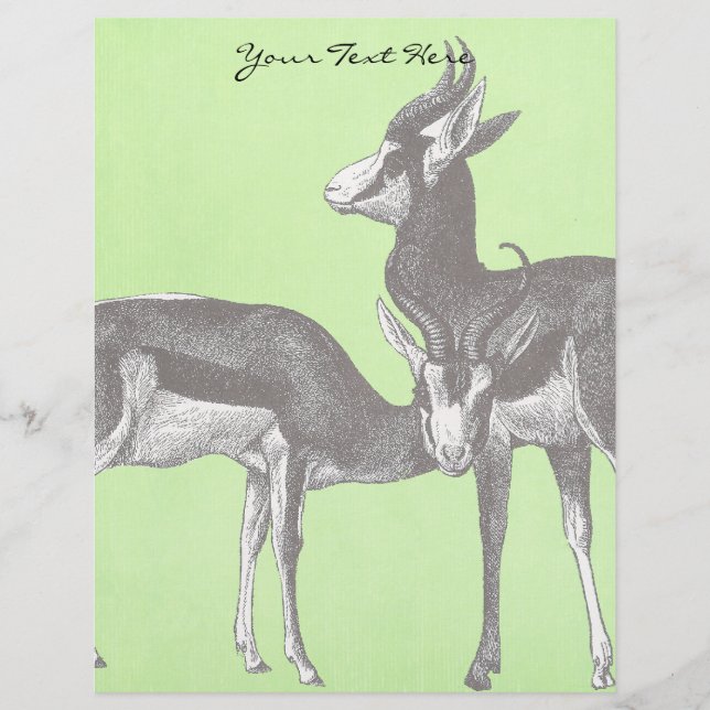 Springbok Letterhead (Front)