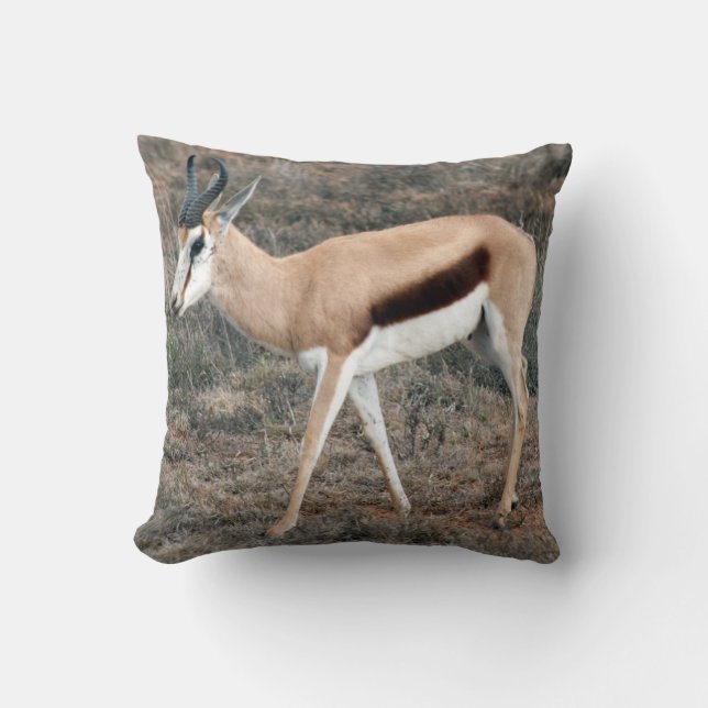 Springbok Throw Pillow (Front)