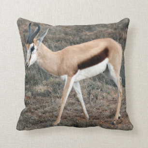Springbok Throw Pillow