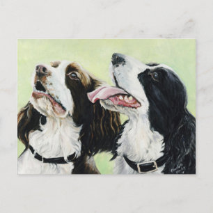 Springer Beggers Original Art Post Card