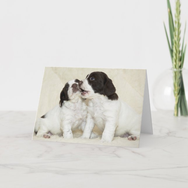 Springer Puppy Friends Card (Front)