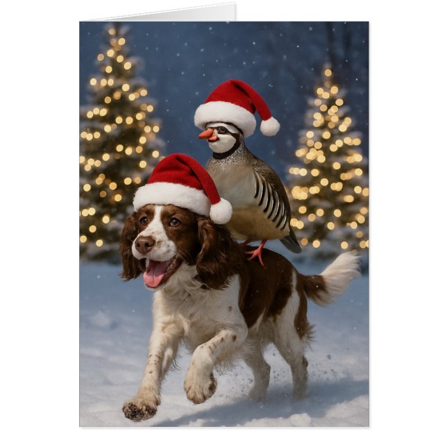 Springer Spaniel and Partridge Christmas card (Front)