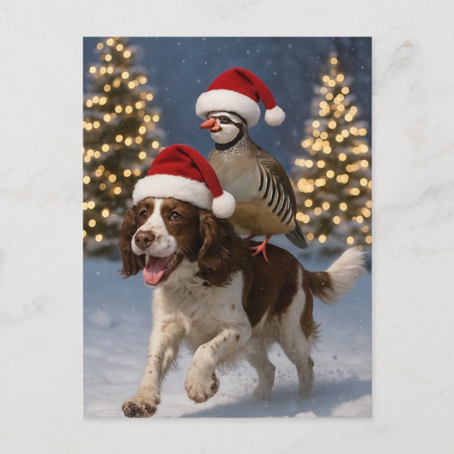 Springer Spaniel and Partridge Christmas postcard (Front)