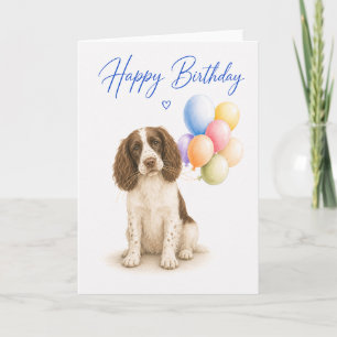 Springer Spaniel Birthday Card