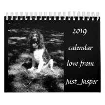 Springer spaniel calendar