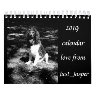 Springer spaniel calendar