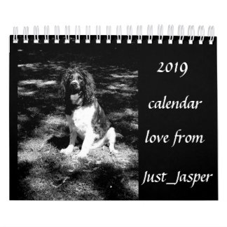 Springer spaniel calendar