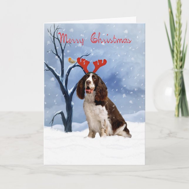 springer spaniel carte de noël - springer spanie (Devant)