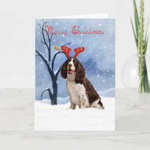 springer spaniel carte de noël - springer spanie