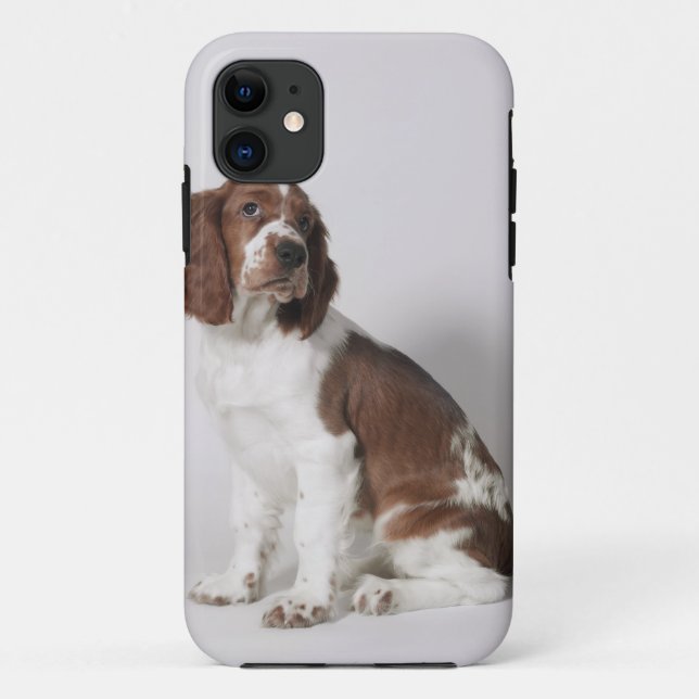 Springer spaniel Case-Mate iPhone case (Back)