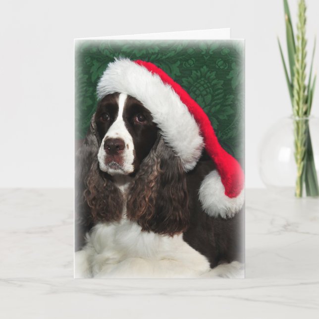 Springer Spaniel Christmas Card (Front)