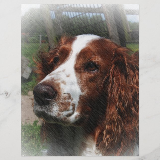 Springer Spaniel Dog Art (Front)