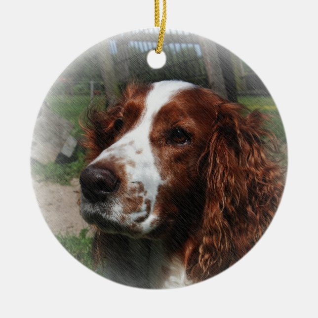 Springer Spaniel Dog Art Ceramic Ornament (Front)