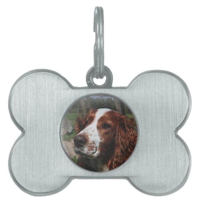 Springer Spaniel Dog Art Pet ID Tag (Front)