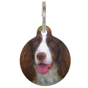 Springer Spaniel Dog. Pet Tag