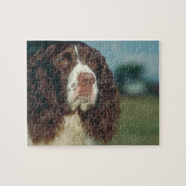 Springer Spaniel Dog Puzzle (Horizontal)