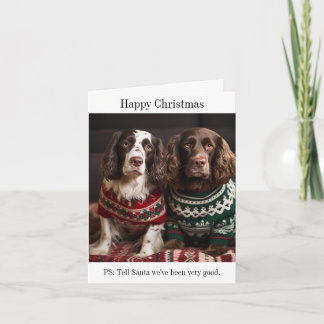 Springer Spaniel Dogs Christmas Card