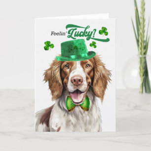 Springer Spaniel Feelin' Lucky St Patrick's Day Holiday Card