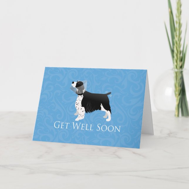 Springer Spaniel Get Well Soon Design Card (Front)