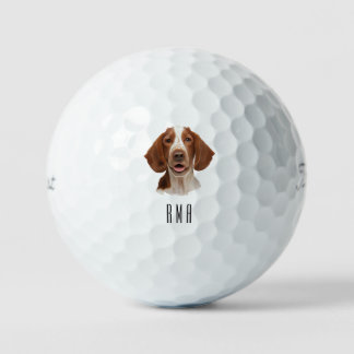Springer Spaniel Golf Balls