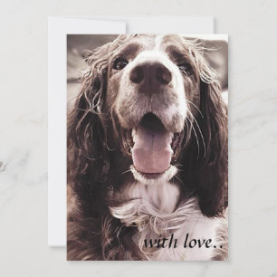 Springer spaniel greetings card. thank you card