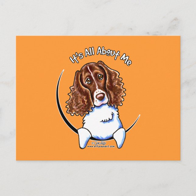 Springer Spaniel IAAM Postcard (Front)