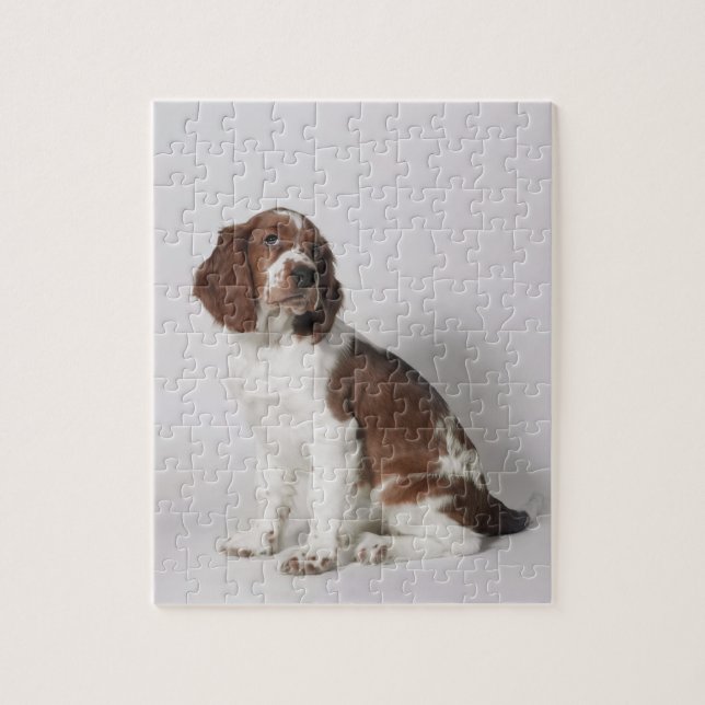 Springer spaniel jigsaw puzzle (Vertical)