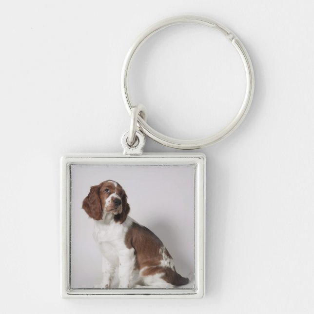 Springer spaniel keychain (Front)