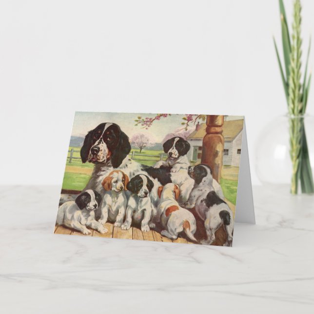Springer spaniel mom and puppies card (Front)