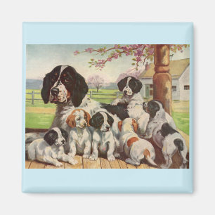 springer spaniel mom and puppies magnet
