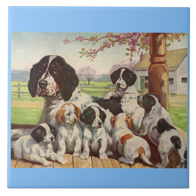 springer spaniel mom and puppies tile (Front)